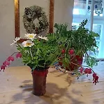 Romantiline Talu Ja Saun Muhumaa Suedames Дом отдыха *