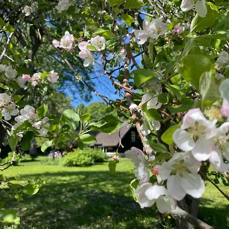 Romantiline Talu Ja Saun Muhumaa Suedames Ferienhaus Hellamaa (Saaremaa)