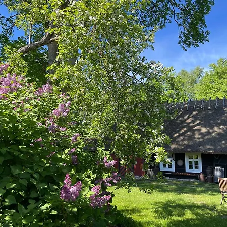 Romantiline Talu Ja Saun Muhumaa Suedames Ferienhaus *