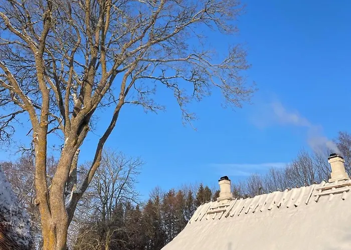 Holiday home Romantiline Talu Ja Saun Muhumaa Suedames